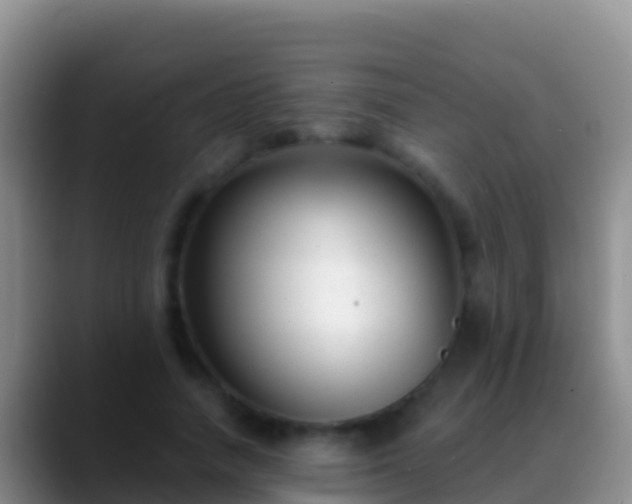 X0000088920738200706151924