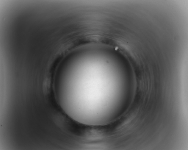 X0000088920739200706151924