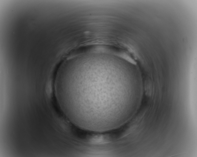 X0000088920740200706151924