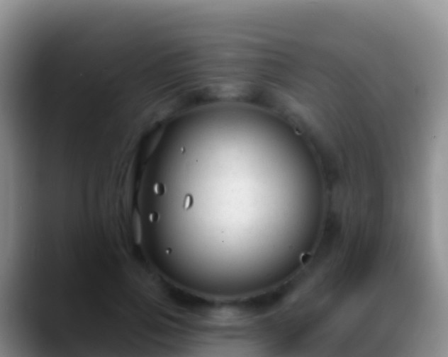 X0000088920741200706151924