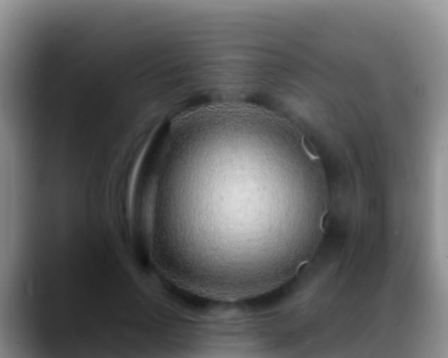 X0000088920742200706151924