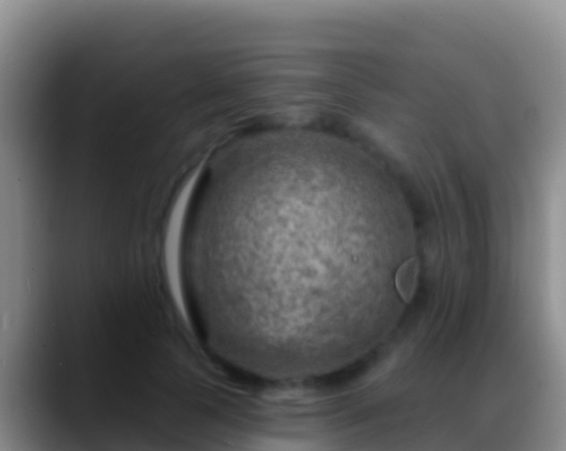 X0000088920745200706151924