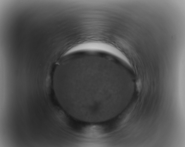 X0000088920748200706151924