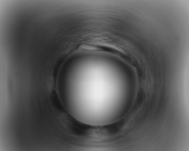 X0000088920752200706151924