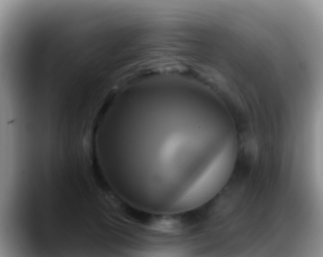 X0000088920754200706151924