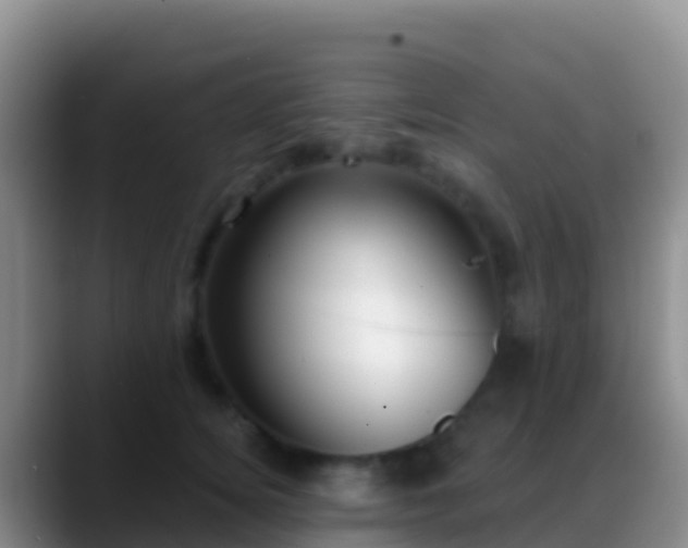 X0000088920756200706151924