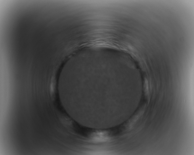 X0000088920760200706151924
