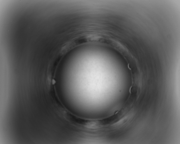 X0000088920761200706151924