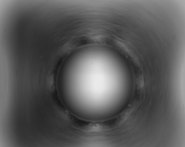 X0000088920764200706151924