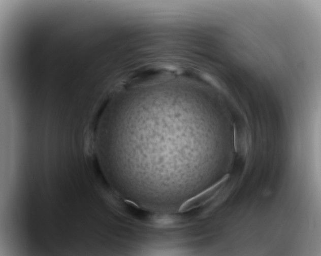 X0000088920766200706151924