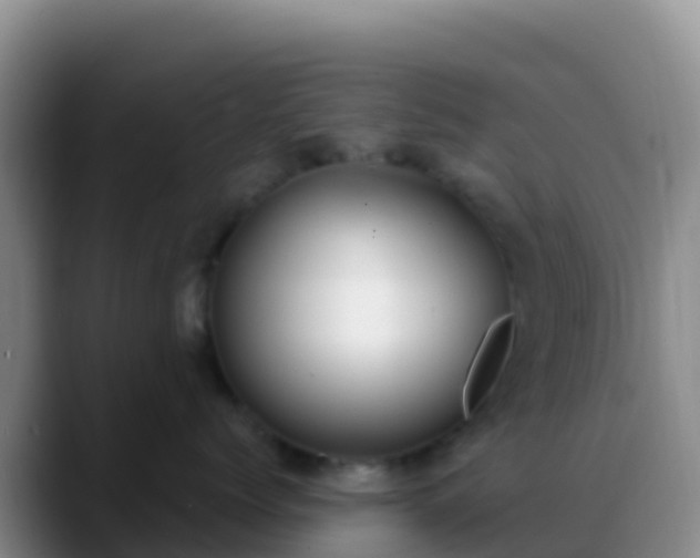 X0000088920768200706151924