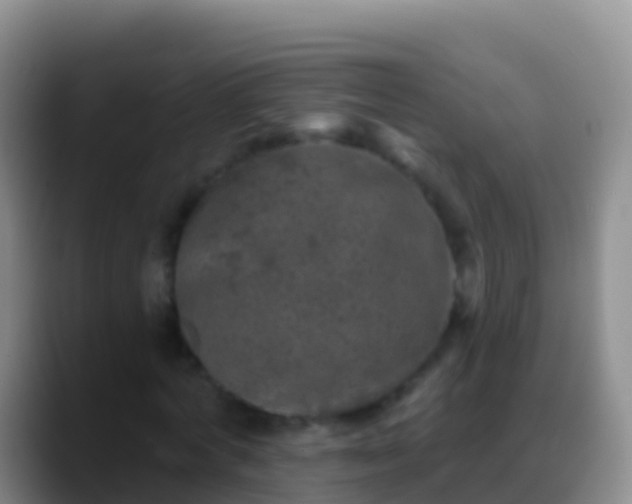 X0000088920772200706151924