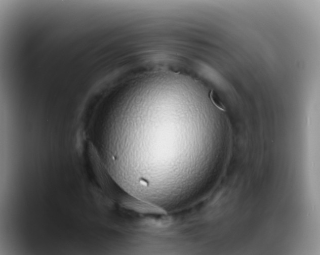 X0000088920775200706151924
