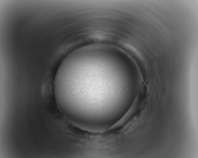 X0000088920776200706151924
