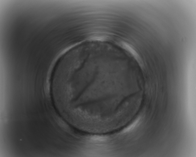 X0000088920779200706151923