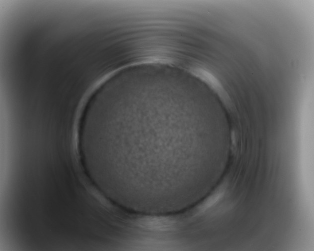 X0000088920780200706151923