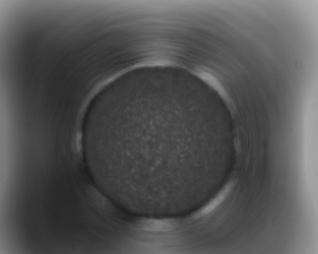 X0000088920781200706151923