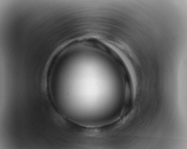 X0000088920784200706151923