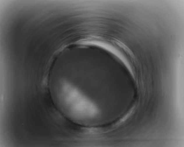 X0000088920785200706151923