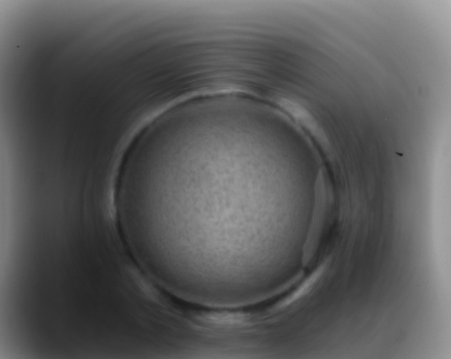 X0000088920789200706151923