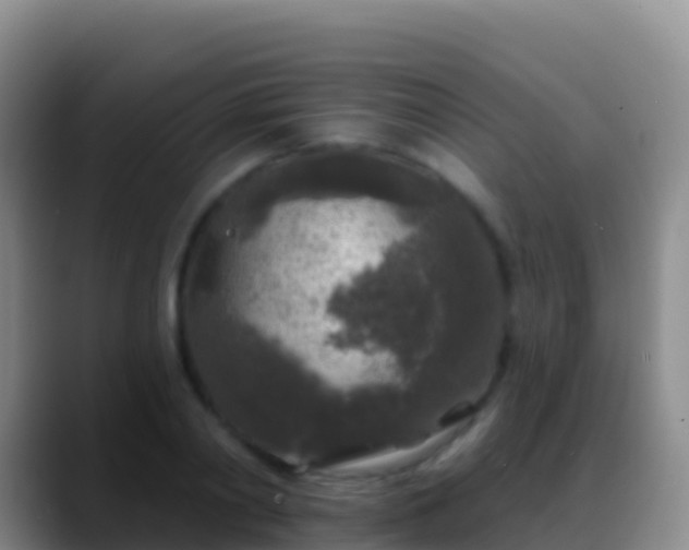 X0000088920790200706151923