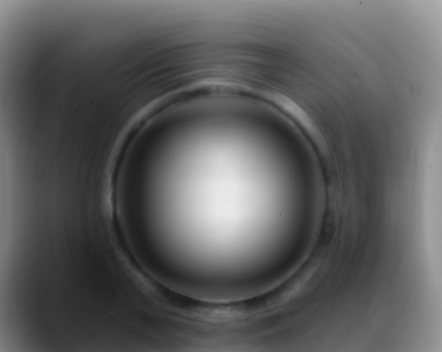 X0000088920791200706151923