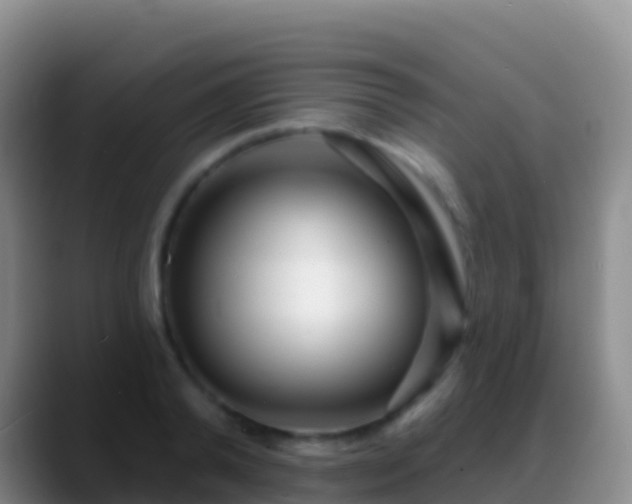 X0000088920792200706151923