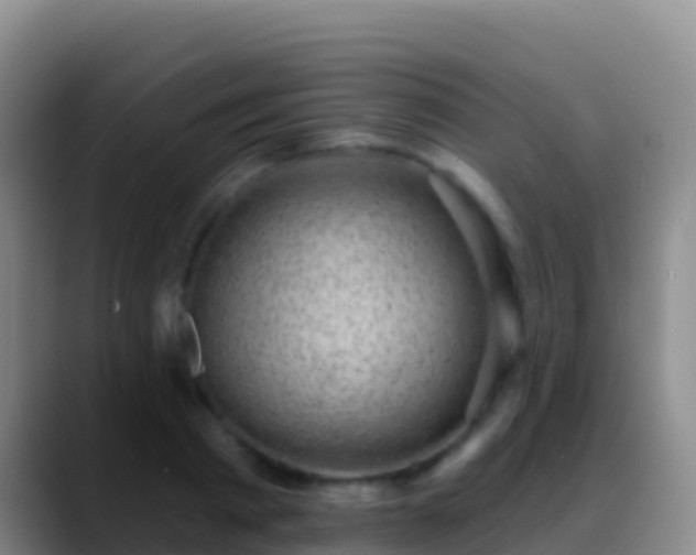 X0000088920793200706151923