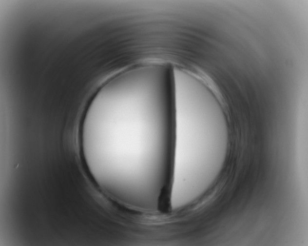X0000088920795200706151923