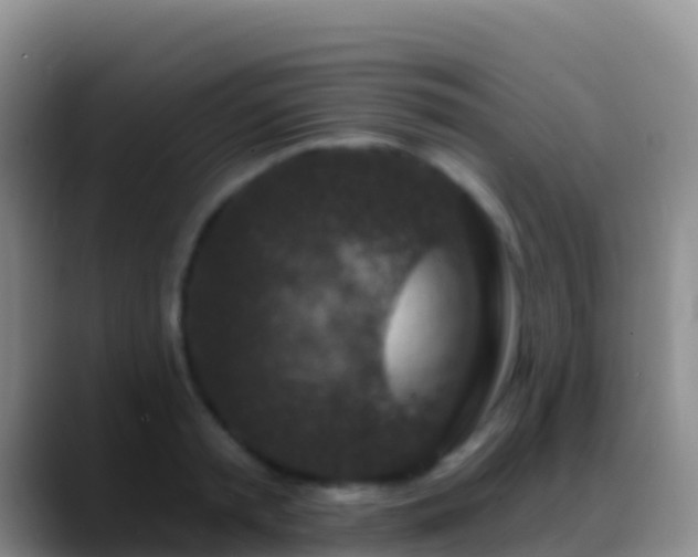 X0000088920797200706151923