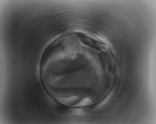 X0000088920798200706151923