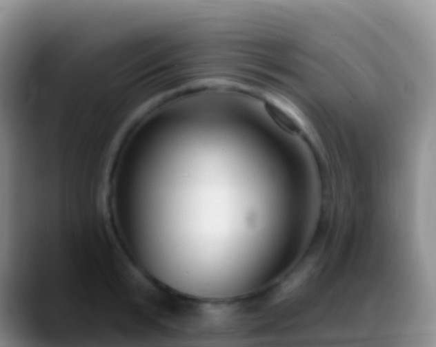 X0000088920799200706151923