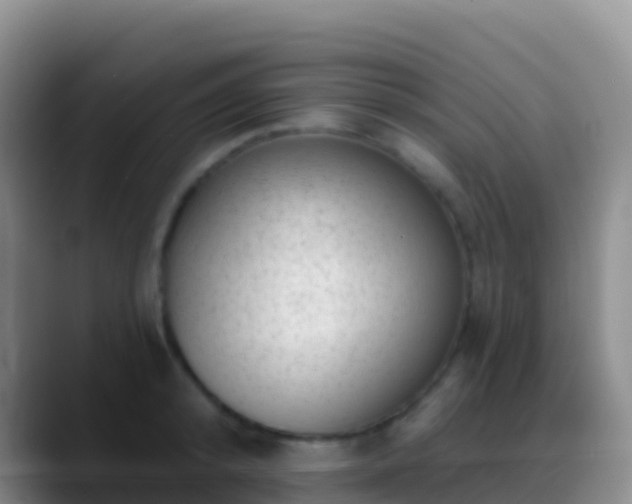 X0000088920800200706151923