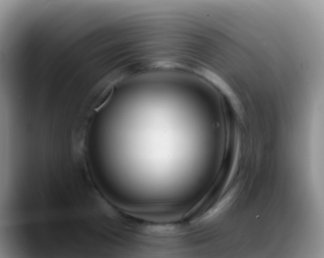 X0000088920801200706151923