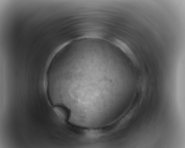 X0000088920804200706151923