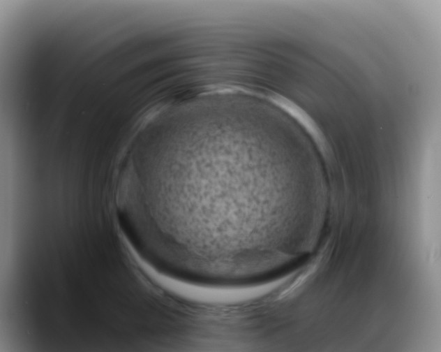 X0000088920809200706151923
