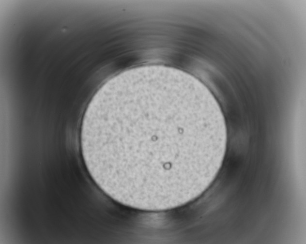 X0000088920810200706151923