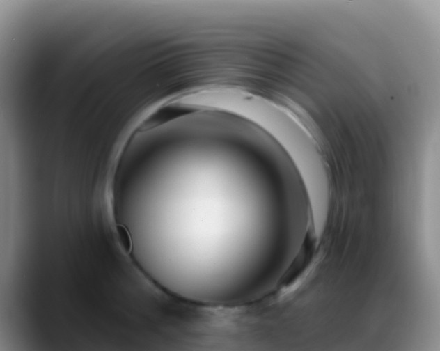 X0000088920812200706151923