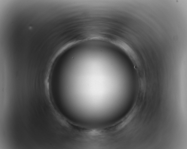 X0000088920814200706151923