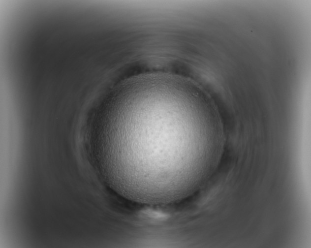 X0000088920817200706151923