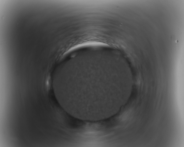 X0000088920818200706151923