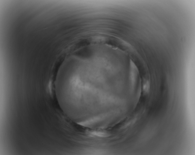 X0000088920819200706151923