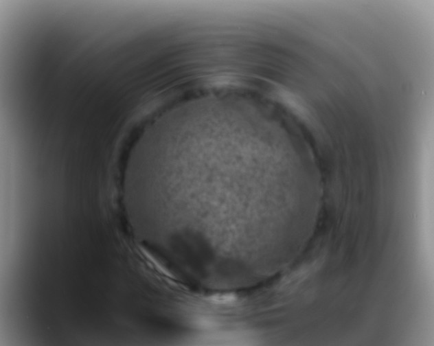 X0000088920823200706151923