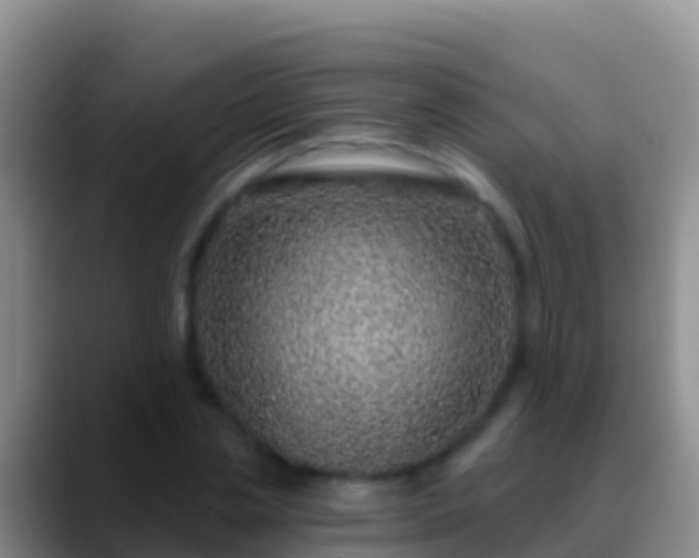 X0000088920829200706151923
