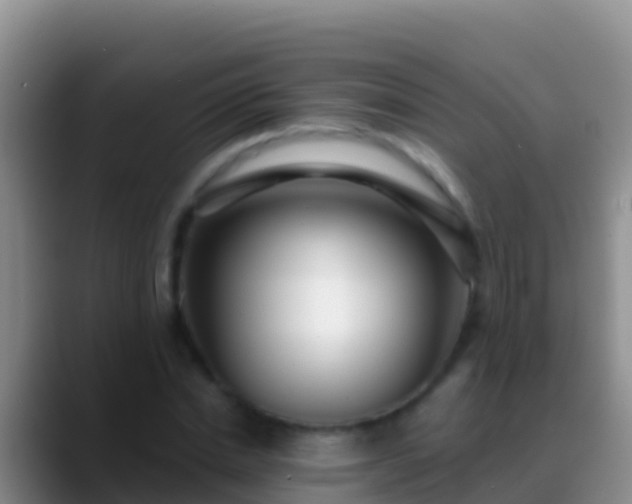 X0000088920830200706151923