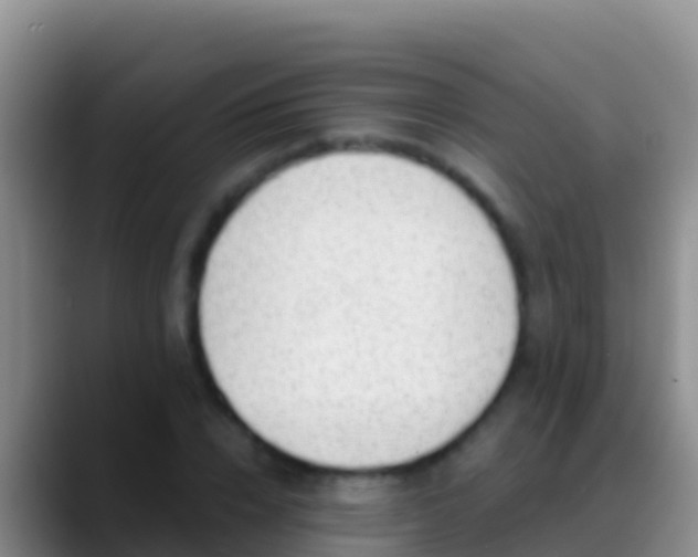 X0000088920832200706151923