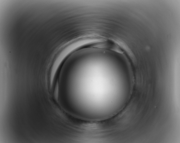 X0000088920834200706151923