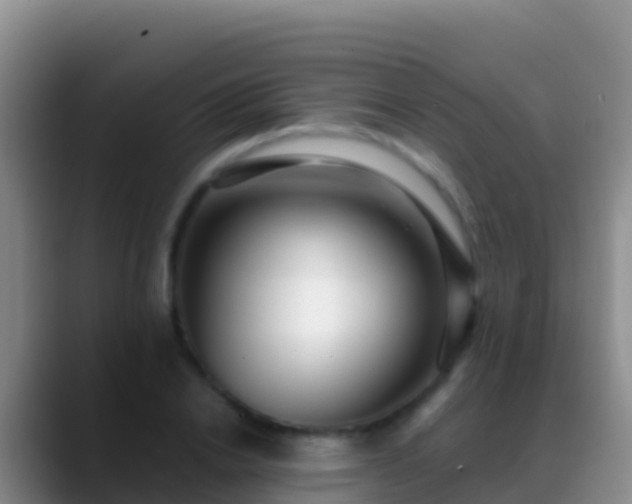 X0000088920838200706151923
