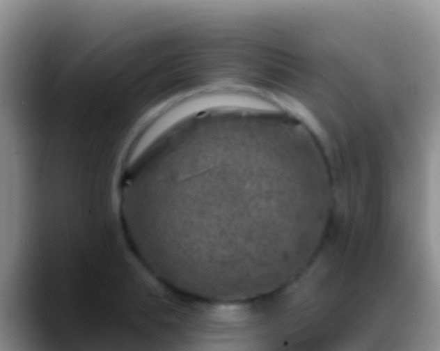 X0000088920839200706151923