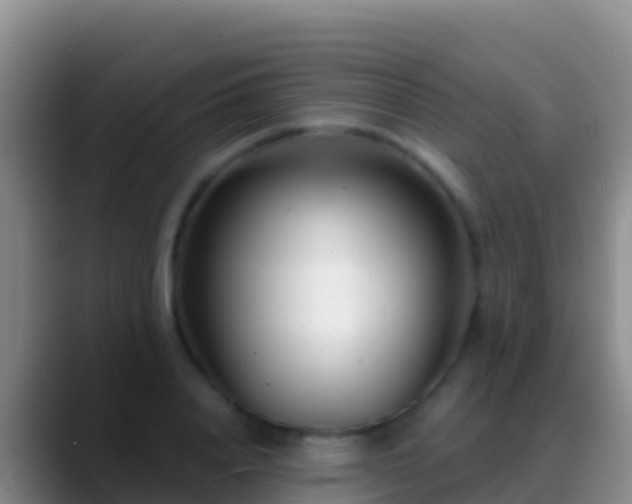 X0000088920840200706151923